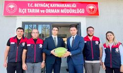 BEYAĞAÇ KAPRUZU COĞRAFİ İŞARET YOLUNDA