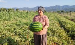 ATA TOHUMU İLE GELEN BEREKET