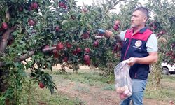 HASAT ÖNCESİ DENETİM