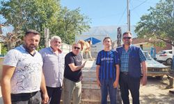 KAYIP BUZAĞI SEFERBERLİĞİ