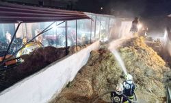 GÖLEMEZLİ’DE AHIRDAKİ SAMANLAR TUTUŞTU