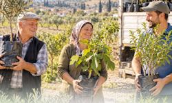 DENİZLİ BÜYÜKŞEHİR’DEN ÇİFTÇİLERE FİDAN DESTEĞİ