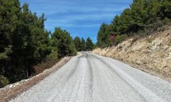 GÜLBAĞLIK YOLU AÇILDI
