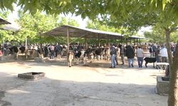 ACIPAYAM HAYVAN PAZARI AÇILIYOR