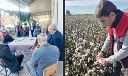 TARIM EKİPLERİ SAHADA PAMUK ÜRETİCİSİYLE BULUŞTU
