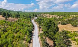 9 KİLOMETRELİK YOL İKİ İLÇEYİ BAĞLADI