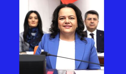 VEKİL ÖK, ENERJİ ÜZERİNDEN MUHALEFETE YÜKLENDİ