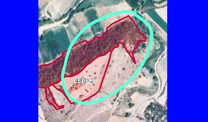 DERBENT SİT ALANI İLAN EDİLDİ