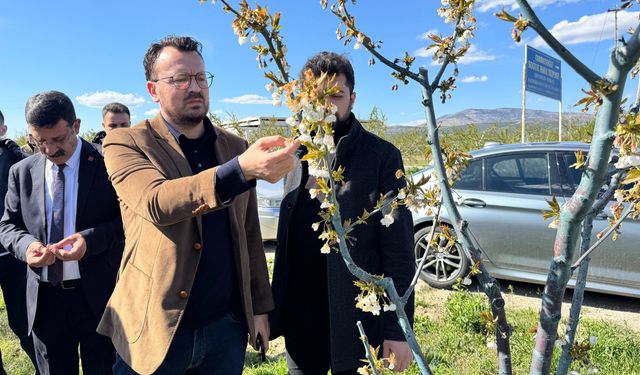CHP'Lİ ARPACI: "ÇİFTÇİYİ KADERİNE TERK ETMEYİN"