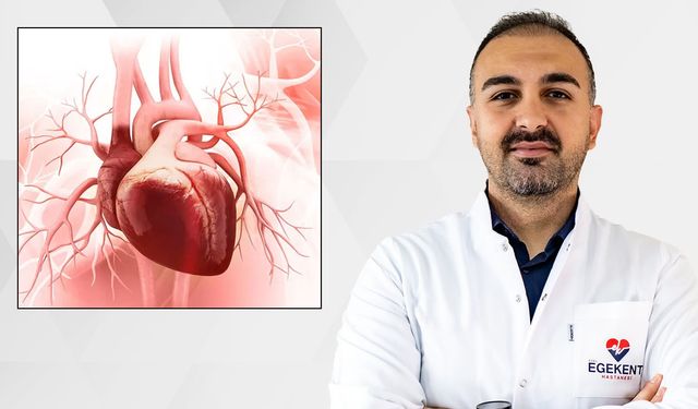 KARDİYOLOJİ UZMANI DR. S. ANIL SARICA: KALBİ KORUMAK MÜMKÜN