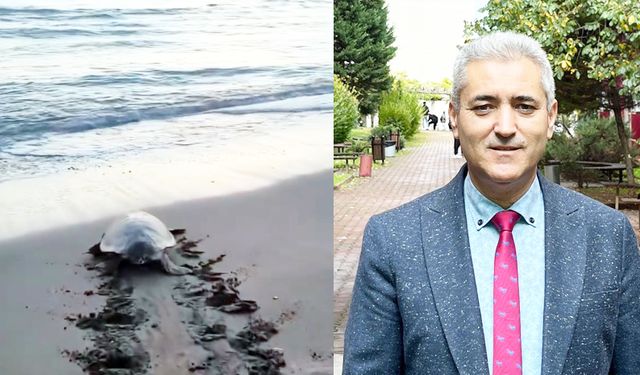 ESİN KANCADAN KURTULDU TEKRAR DENİZE KAVUŞTU