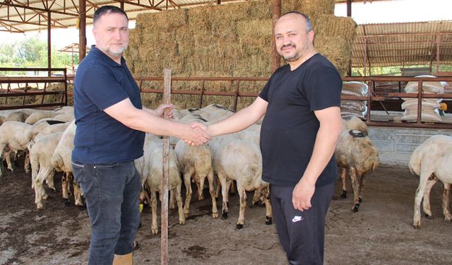 DENİZLİ KASAPLAR ODASI BAŞKANI ÖZ’DEN KRİTİK UYARI: KASAPLIĞA SOYUNMAYIN İŞİ EHLİNE BIRAKIN