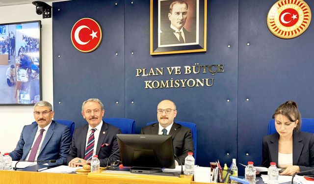 ZEYTİNLİKLER KÖMÜRE KURBAN