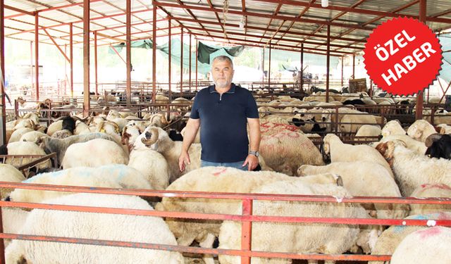 SAĞLIKLI KURBANLIK SEÇİMİNİN İPUÇLARI