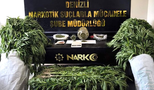 EVİNİN BAHÇESİNDEN 290 KÖK KENEVİR ÇIKTI, TUTUKLANDI
