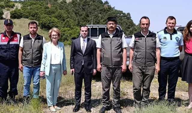 SOKAK DOSTLARI İÇİN YAŞAM ALANI KURULACAK