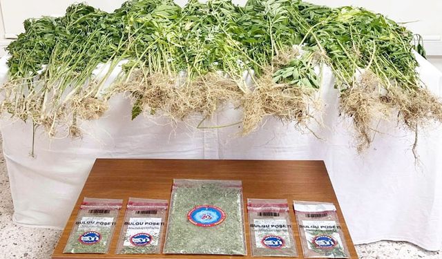 SARAYKÖY’DE UYUŞTURUCU BASKINI