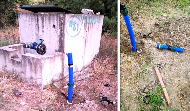BALTAYLA PARÇALADI, KÖY MEYDANINA ATTI