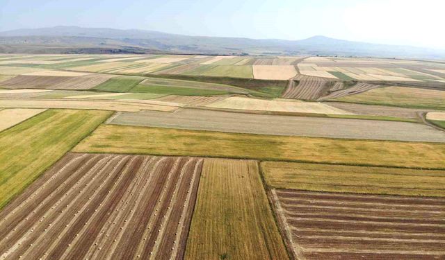 İŞLENMEYEN ARAZİLER  KİRAYA ÇIKARILIYOR