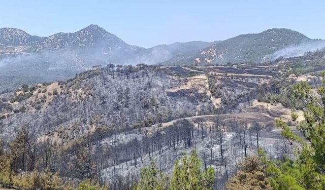 YENİKÖY YANGININDA 3 ŞÜPHELİ GÖZALTINDA