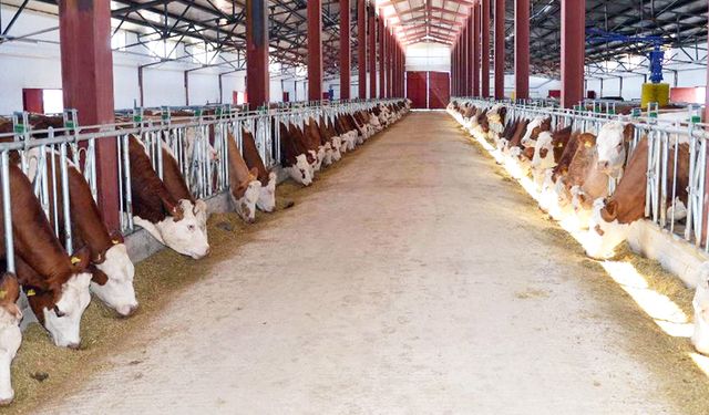 DENİZLİLİ ÜRETİCİYE 146 MİLYONUK DESTEK