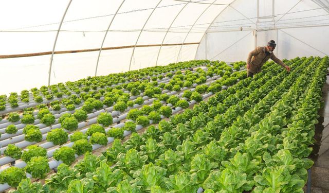 ORMAN KÖYLÜSÜNE ORKÖY DESTEĞİ