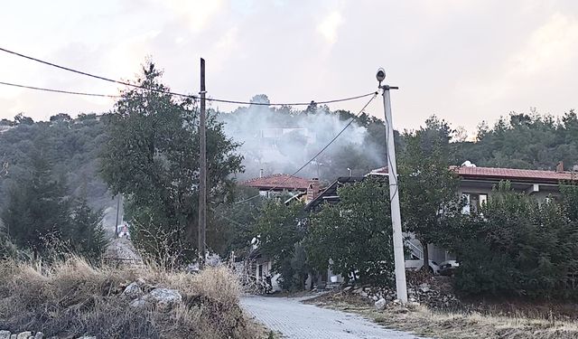 ATEŞLE YAPILAN TEMİZLİK YANGINA NEDEN OLDU