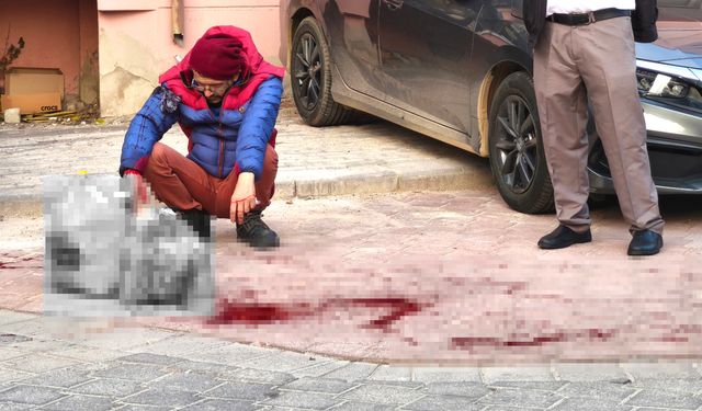 AĞABEYİNİ SOKAK ORTASINDA BIÇAKLADI