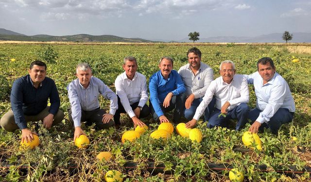 ACIPAYAM KAVUNU TESCİLLENDİ