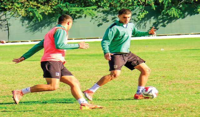 HOROZ BUGÜN SAHNE ALIYOR