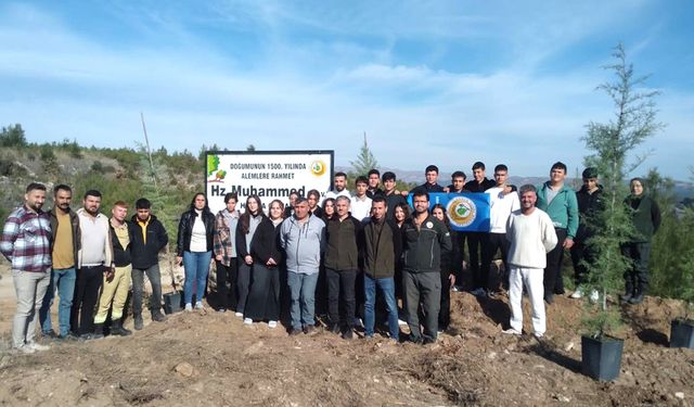 BULDAN’DA HATIRA ORMANI