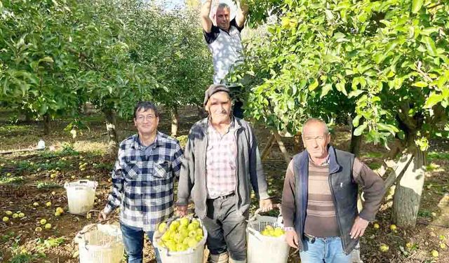 BULDAN'DA ELMA HASADI YÜZ GÜLDÜRÜYOR