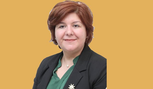 AK PARTİLİ KABADAYILAR: KABİLE YÖNETİR GİBİ…