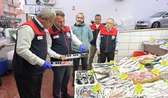 BALIKÇILARA DENETİM