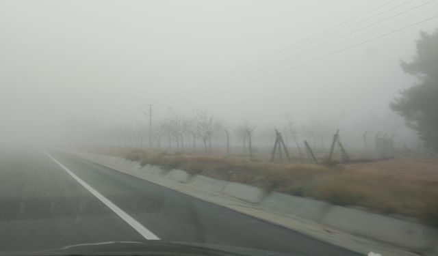 GÖZ GÖZÜ GÖRMEDİ