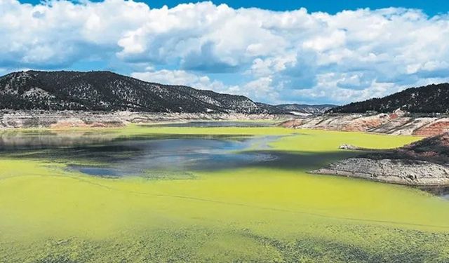 ADIGÜZEL CAN ÇEKİŞİYOR