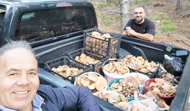 ÇAMELİ’DE ÇINTAR BEREKETİ