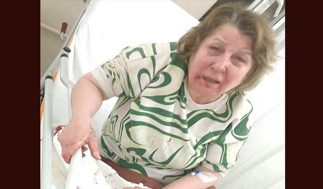 KOMŞUSUNA COPLA SALDIRDI