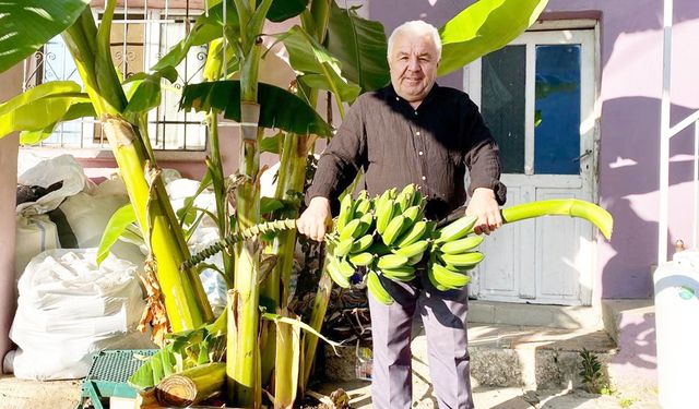 700 RAKIMLI BULDAN’DA MUZ HASADI YAPTI