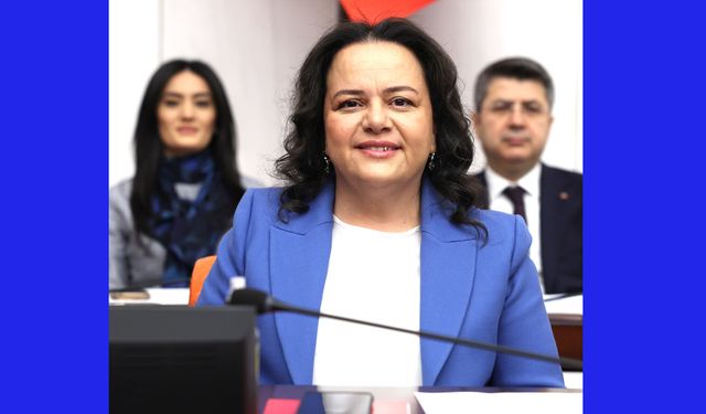 VEKİL ÖK, ENERJİ ÜZERİNDEN MUHALEFETE YÜKLENDİ