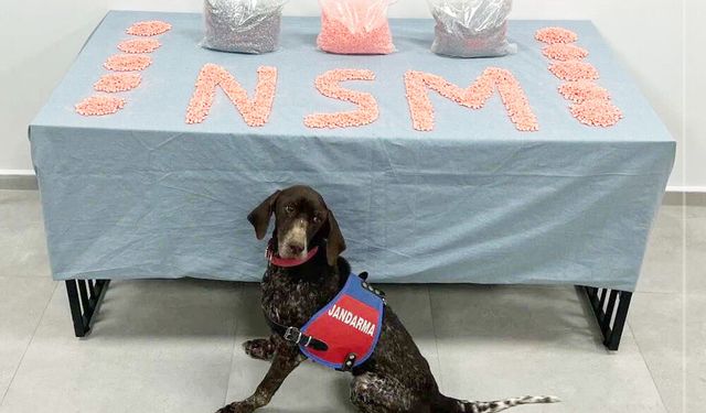 28 BİN EXTACY ELE GEÇİRİLDİ