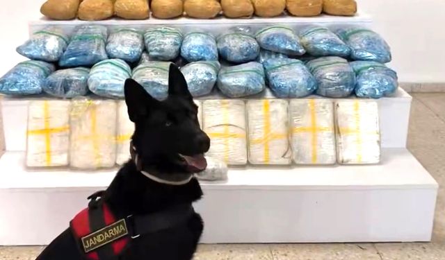 BÜYÜK ZEHİR OPERASYONU