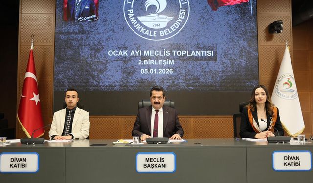 PAMUKKALE BELEDİYESİ SATIH KAPLAMA ARACI VE SİLİNDİR ALACAK