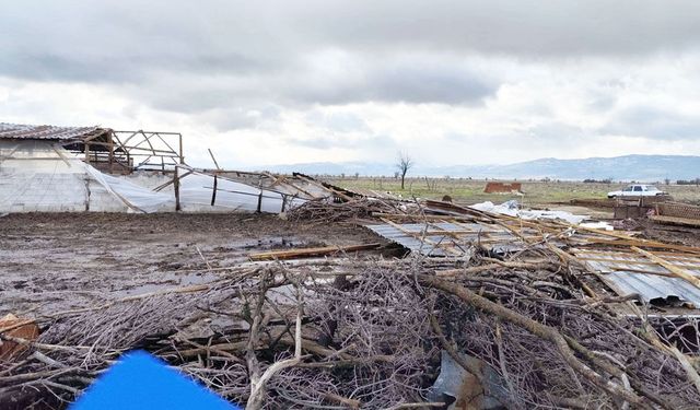 FIRTINA ACIPAYAM’DA ÖRTÜ ALTI TARIMI VURDU
