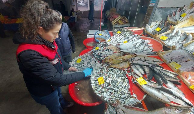 DENİZLİ İL TARIM VE ORMAN MÜDÜRLÜĞÜ EKİPLERİNDEN BALIK DENETİMİ