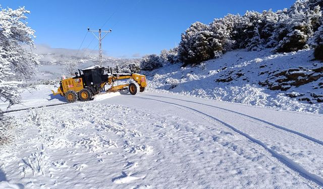 KAR ÇAMELİ’Yİ ESİR ALDI