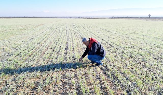 YÜKSEK VERİMLİ ÜRÜNLER GELİYOR