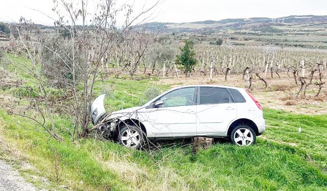 OTOMOBİL ÜZÜM BAĞINA UÇTU