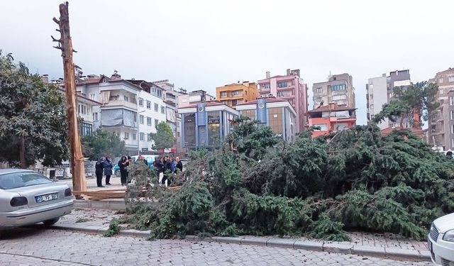 DENİZLİ'DE FIRTINA HAYATI FELÇ ETTİ