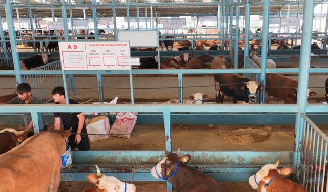 DENİZLİ VE ÇİVRİL PAZARLARI AÇILDI